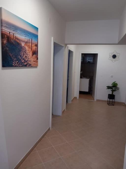 Apartment Dora-100M From The Central Beach Makarska Exterior foto